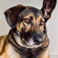 Profile Picture of Geoffrey Hampton (@geoffrey-hampton-3) on Quora