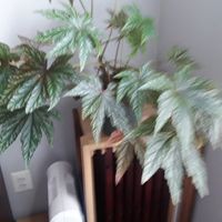Profile Picture of Lois Keil (@lois-keil-1) on Quora