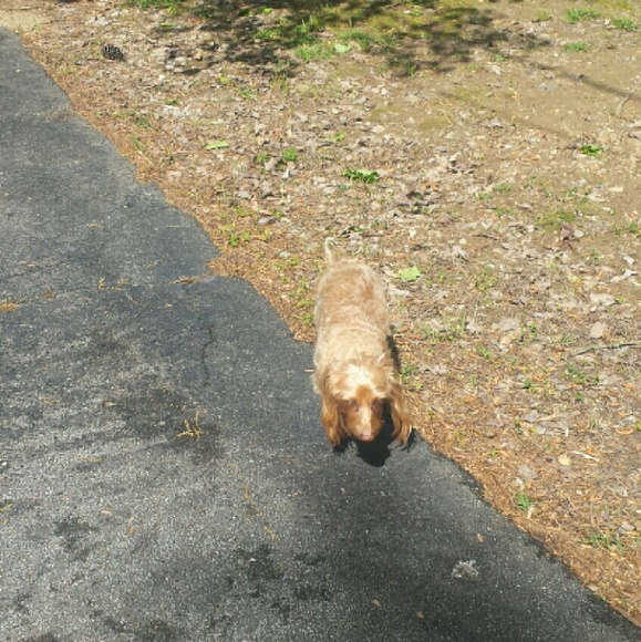 Sylvia Blaydes - Poshmark Profile Picture of Sylvia Blaydes (@prettydaisy51) on Poshmark