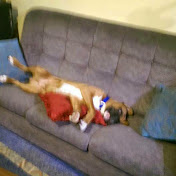 Profile Picture of Keith Bain (@windowhead11) on Youtube