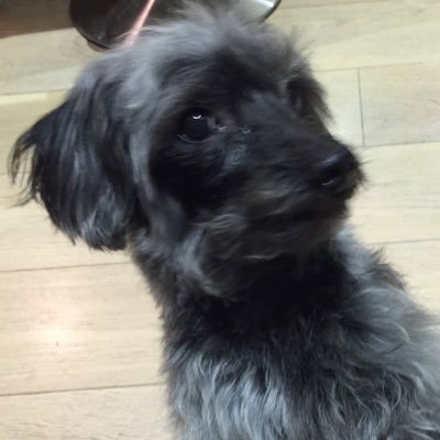 Profile Picture of Julia Inman (@Tuffers19) on Twitter