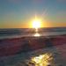 Profile Picture of Matthew Salyer (@matthewsalyer74940) on Pinterest