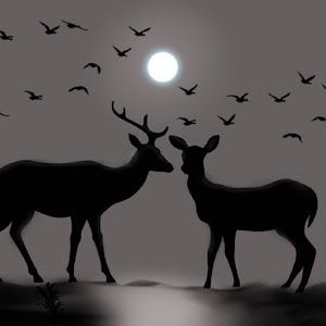 Profile Picture of Brad camp (@hunting539fishingbrad) on Tiktok