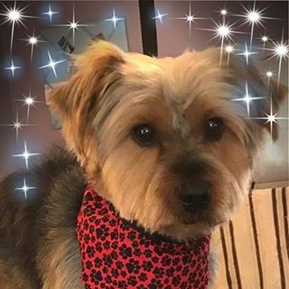 Profile Picture of Jeanette Starling (@jeanette.starling) on Facebook