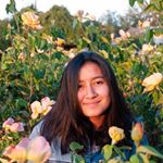 Profile Picture of Allison Manning-Ha (@abejabebe) on Instagram