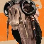 Isaac Soliman - Instagram Profile Picture of Isaac Soliman (@lordsebulba) on Instagram