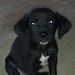 Profile Picture of David Gaudette (@davidgaudette0279) on Pinterest