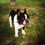 Profile Picture of Vintage Printery (@vintage printery) on Flickr