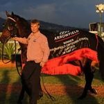 Sean Blayden - Instagram Profile Picture of Sean Blayden (@seanblayden) on Instagram