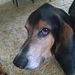 Profile Picture of Scott Braudt (@scottbraudt) on Pinterest