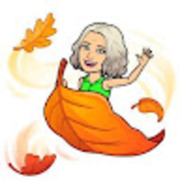 Profile Picture of Lisa Devargas (@ldevargas0166) on Poshmark