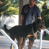 Profile Picture of Itamar Dos Anjos (@itamar-dos-anjos) on Quora