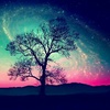 Profile Picture of Tara de Vries (@@tara1505) on Tiktok