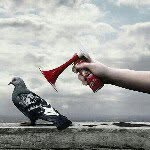 Profile Picture of Allen Townsend (@al_townsend) on Instagram