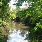 Profile Picture of Rick Anders (@cnr692016) on Instagram