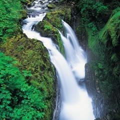 Profile Picture of Whitney Deen (@384691551) on Myspace