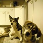 Profile Picture of Louise Frenette (@louise.frenette.77) on Instagram