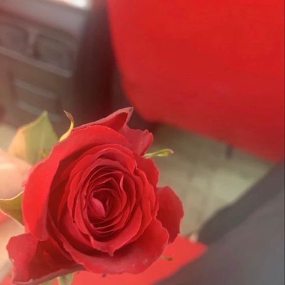 Profile Picture of Manar Ali (@manar_ali) on Poshmark