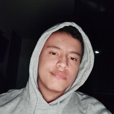 Profile Picture of Sebastian Morales (@sebastianmq170) on Twitter