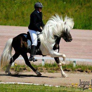 Profile Picture of Lara Schmit (@lara.schmit.754) on Facebook