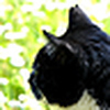 Profile Picture of Lara Wilms (@Lara Wilms) on Flickr