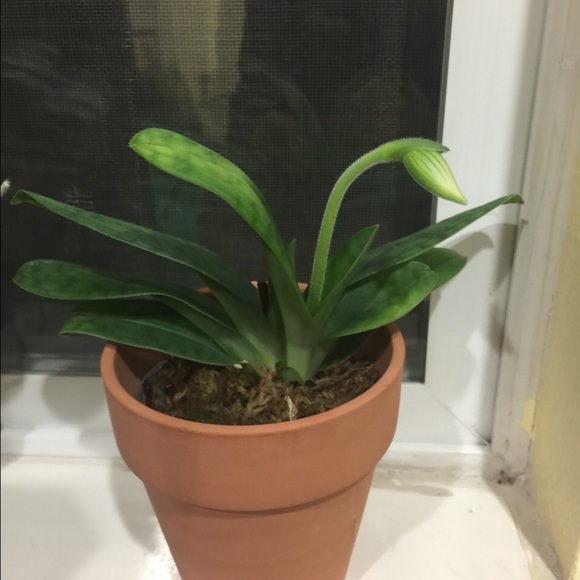 Profile Picture of Winnie Huang (@aicoh) on Poshmark