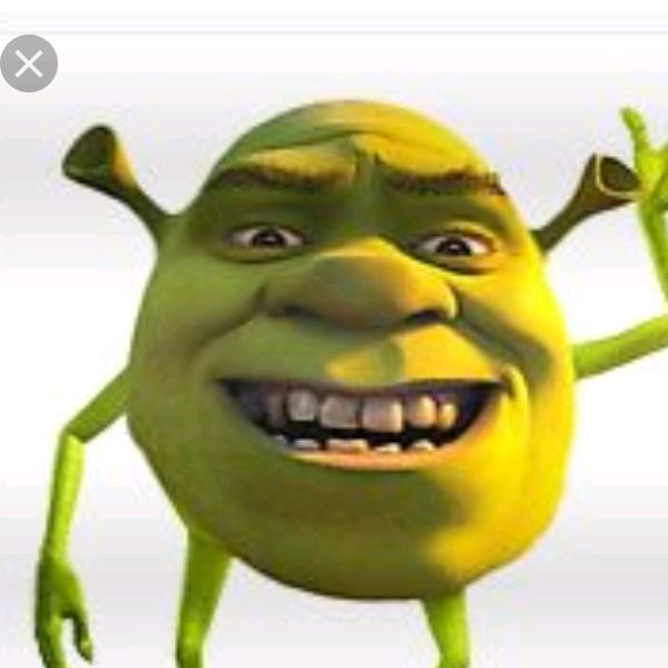 Profile Picture of Mari Shurtleff (@marishurtleff) on Tiktok