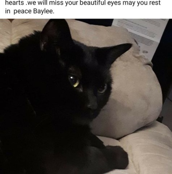 Profile Picture of James Saunderson (@brucejames191) on Poshmark