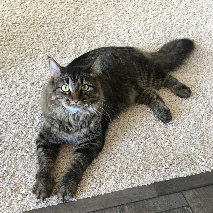 Profile Picture of Meredith🌵 (@meredithcarlson) on Tiktok