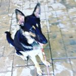 Profile Picture of 🔥David VanDerVliet🔥 (@david_17.v) on Instagram