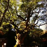 Profile Picture of 原荘　文高 (@yuanzhuangwengao) on Instagram