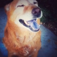 Profile Picture of Chloe Rasmussen (@chloe-rasmussen-6) on Quora