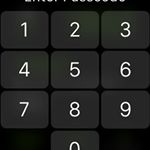 Profile Picture of Blake Payne (@blakeybearp) on Instagram