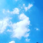 Kate Yoon - Instagram Profile Picture of Kate Yoon (@katarinajju) on Instagram