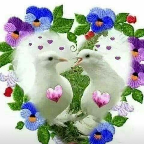 Profile Picture of Nely Lopez (@nelylopez11) on Poshmark