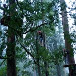 Profile Picture of James Santoso (@jamesantoso21) on Instagram