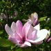 Profile Picture of Jean Matson (@Jean-Matson) on Facebook