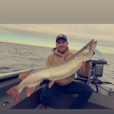 Profile Picture of Brian Thauwald (@BrianTowel) on Twitter