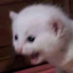 Profile Picture of Jesús Aurelio (@JessAurelio9) on Twitter