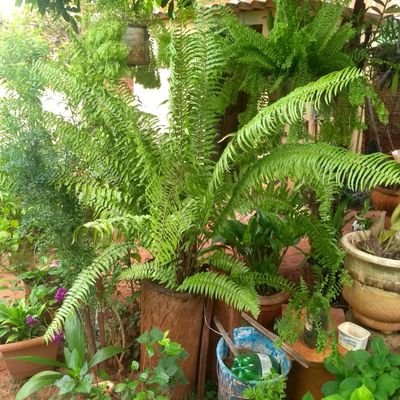 Profile Picture of Gilberto Paulino (@Gilbert92390495) on Twitter