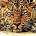 Profile Picture of Bruce Shepler (@bruce.shepler) on Facebook