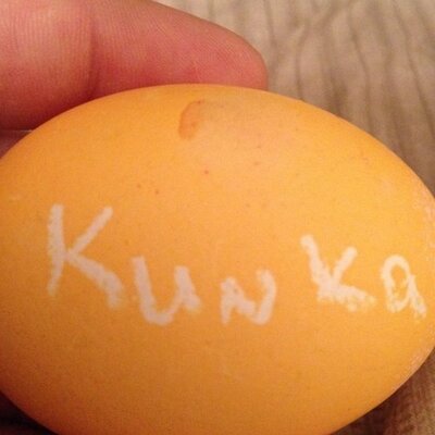 Profile Picture of James Dahm (@JMessD) on Twitter