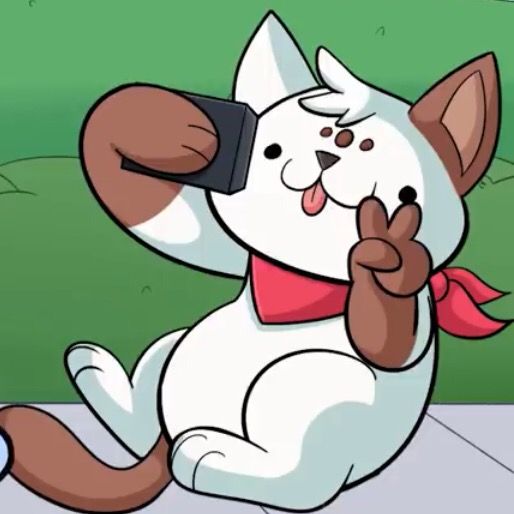 Profile Picture of Ovarian567 (@isabellemcmillan2010) on Tiktok