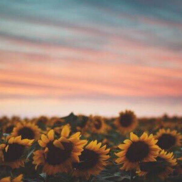 Profile Picture of Morgan Fritchman (@mfritchman) on Poshmark