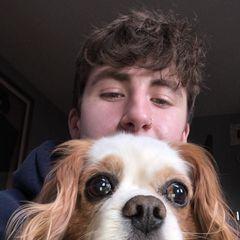 Profile Picture of shaywalpole (@shaywalpole) on Tiktok