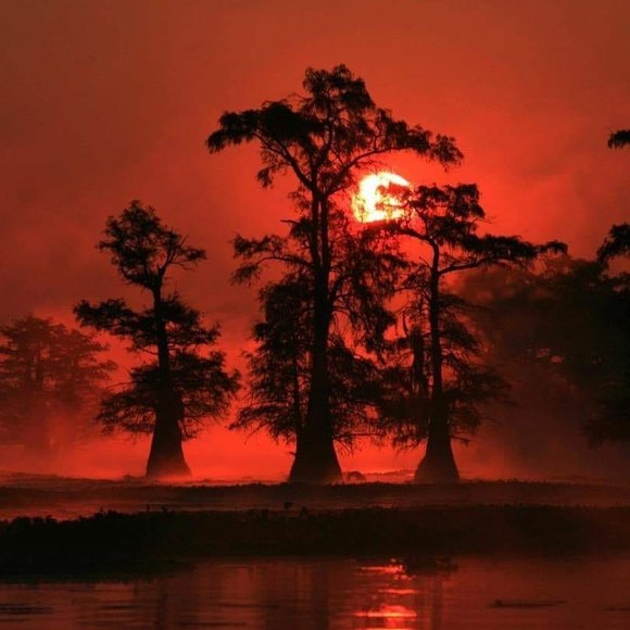 Profile Picture of Page Surtees (@pnsurtee) on Poshmark