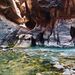 Profile Picture of Nathaniel Walls (@natewalls00) on Pinterest