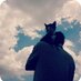 Profile Picture of Otro Gato (@ZarabandaJose) on Twitter
