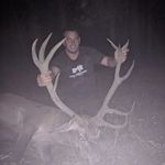 Profile Picture of Stephan Schlichenmaier (@stephan_schlichenmaier) on Instagram