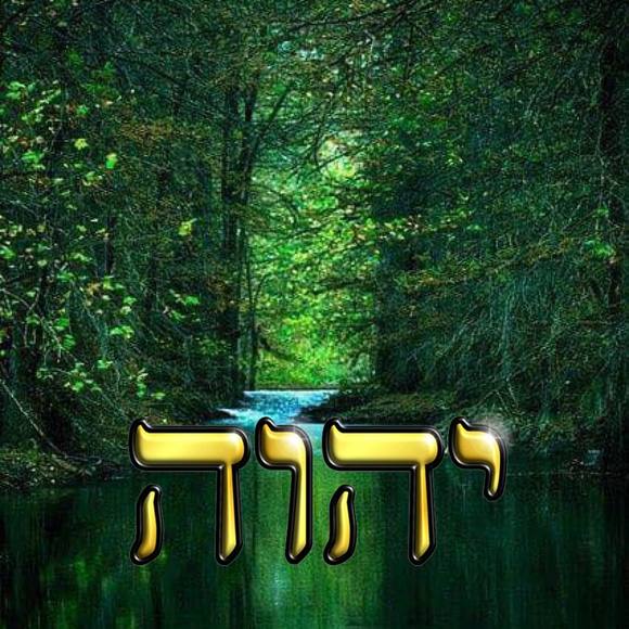 Paloma Poncedeleon - Poshmark Profile Picture of Paloma Poncedeleon (@caballos13) on Poshmark